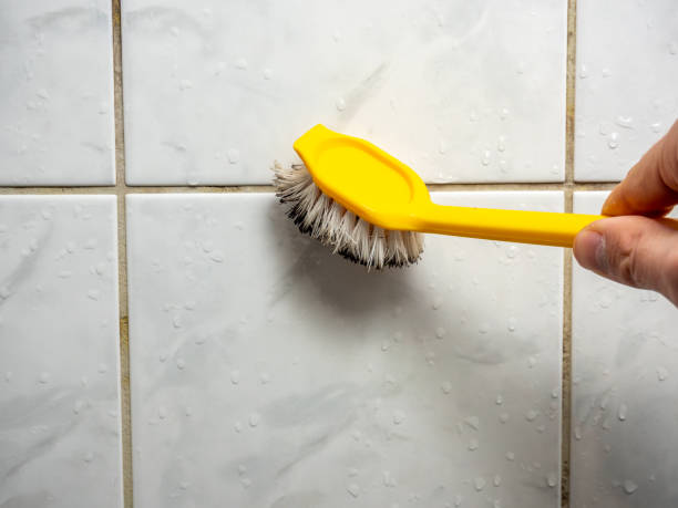 Best Post-Flood Mold Remediation in Germantown, WI