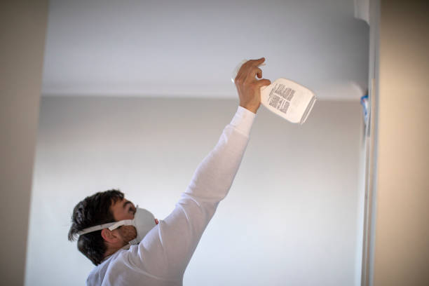 Best Bathroom Mold Remediation in Germantown, WI